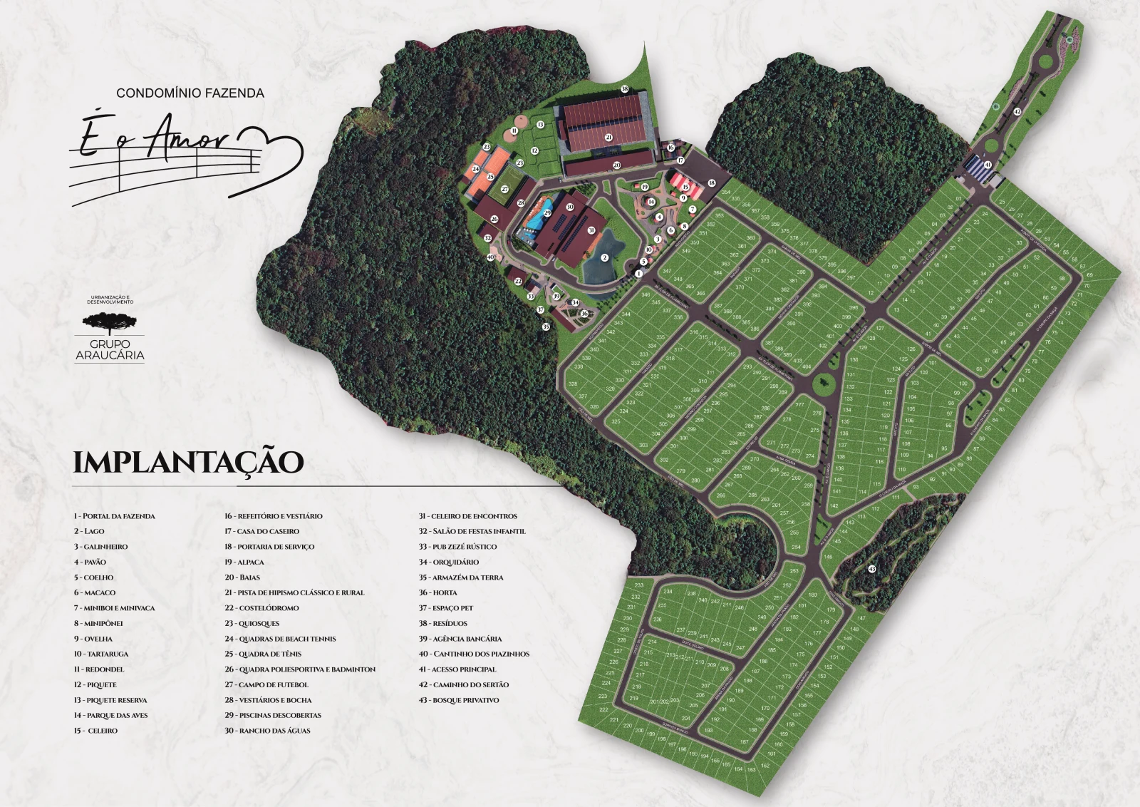 Implantação dos lotes